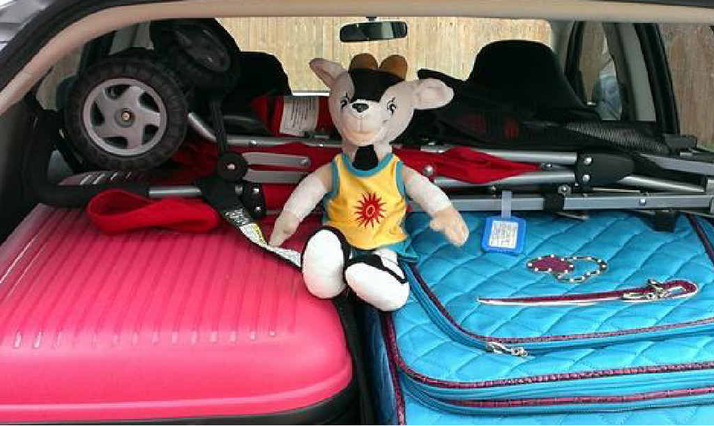 ON THE ROAD AGAIN: Orry the Gympie goat has gone from Mary St op shop to Fiji. ON THE ROAD AGAIN: Orry the Gympie goat has gone from Mary St op shop to Fiji.